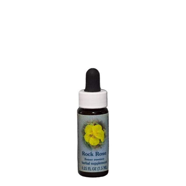 Bach Flower Rock Rose is helpful in any situation where there is the need to transform the vibrations of extreme fear or terror. In an acute state, those in need of Rock Rose may become rigid, shaking, or petrified by acute fear. 1/4 oz