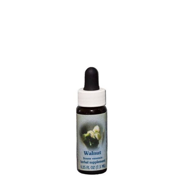 Bach Flower Walnut promotes adaptability, emotional flexibility, and protection during times of change. 1/4 oz