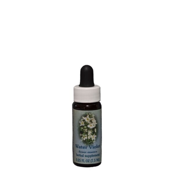 Bach Flower Water Violet helps to restore the soul qualities of humility and wisdom. Water Violet often have much valuable knowledge and insight to share 1/4 oz