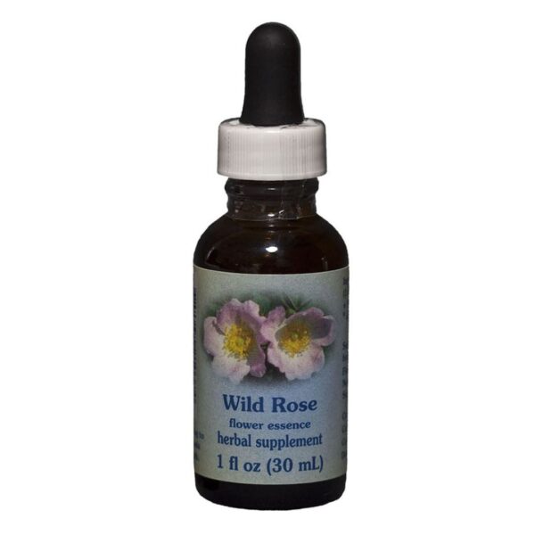 Bach Flower Wild Rose encourages the positive potential for enthusiasm and a lively interest in life- 1 oz